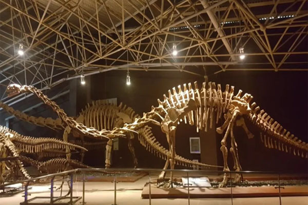 震撼来袭 | 光子科技赋能世界恐龙博物馆，AR全息显示再现侏罗纪时代