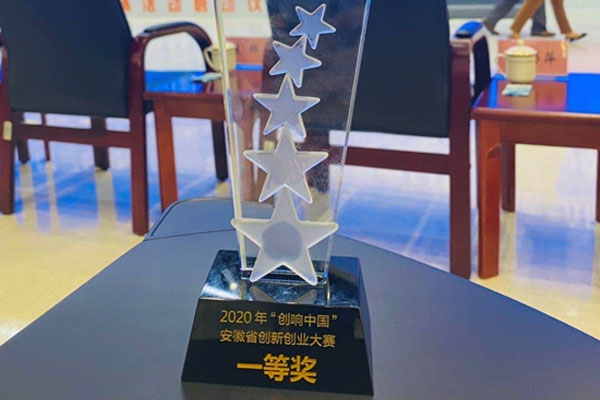 安徽省省长李国英为光子晶体科技颁发一等奖