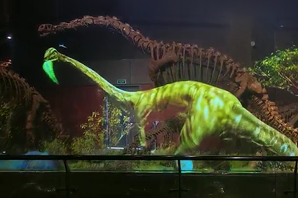 光子裸眼AR展示屏 | 世界恐龙谷